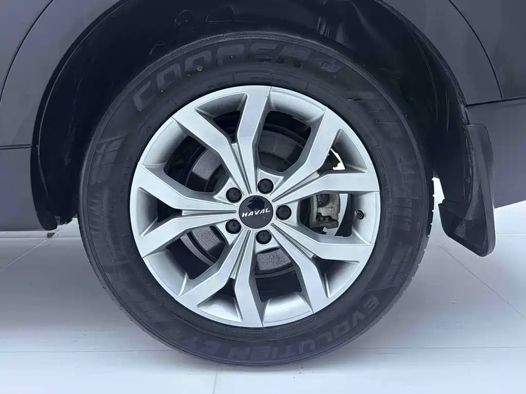 Haval H6 — миниатюра 16