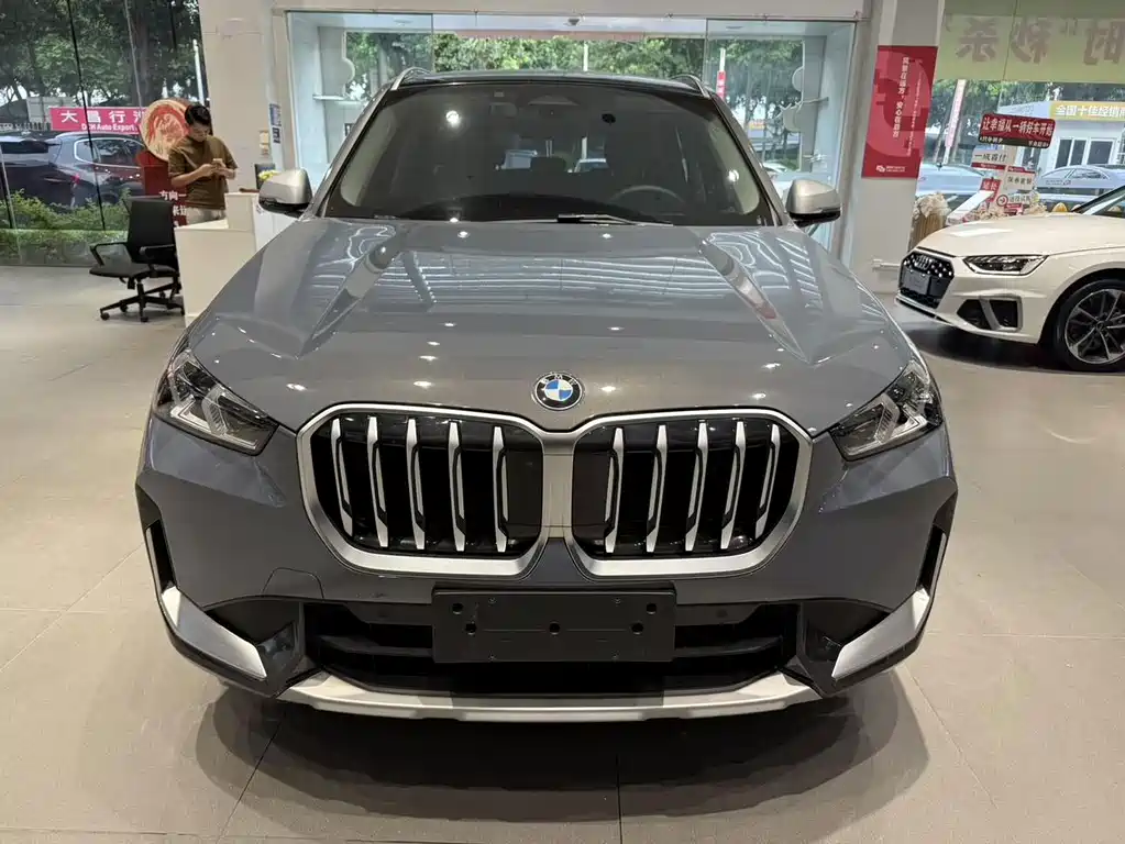 BMW X1 — миниатюра 2