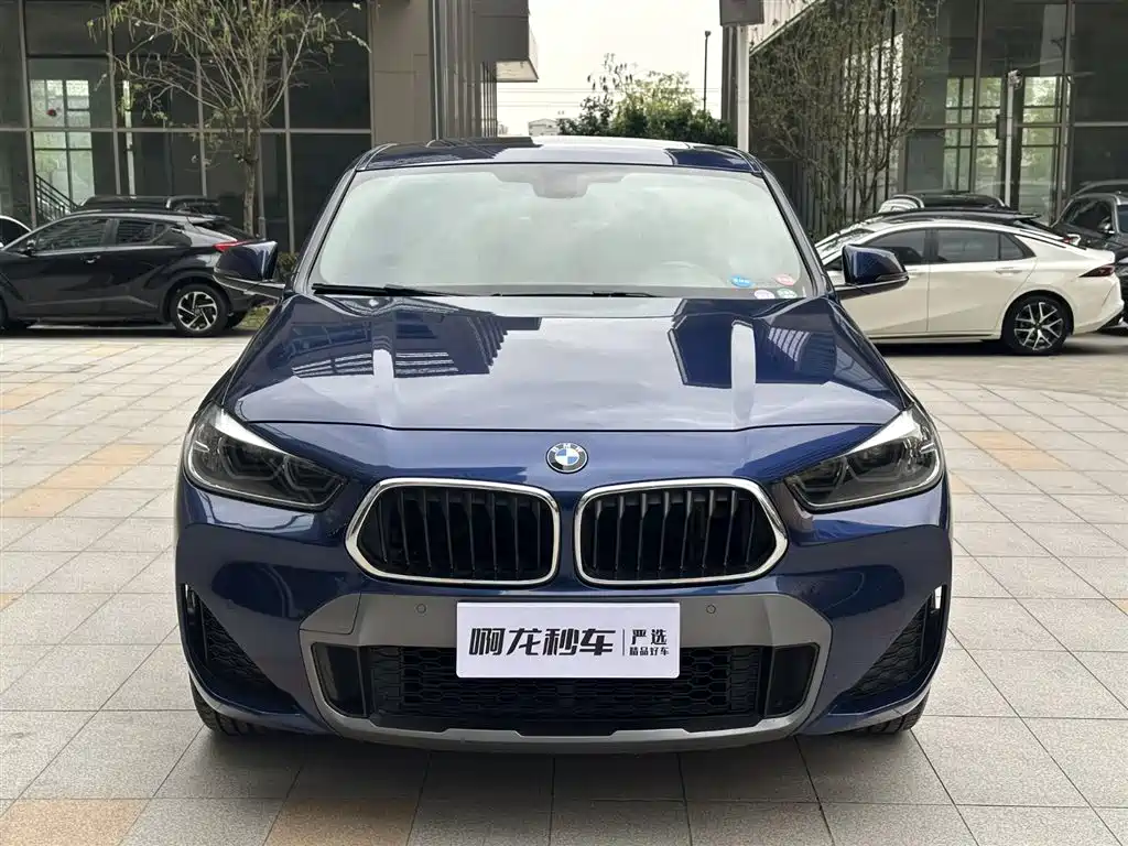 BMW X2 2020 sDrive25i Lead M