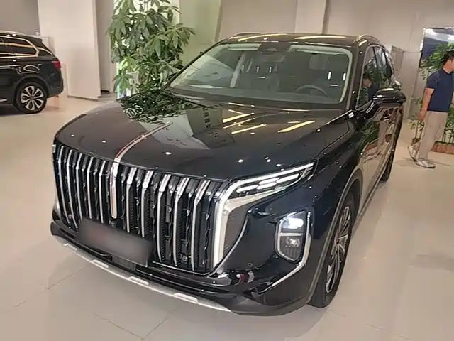 2024 Hongqi HS7