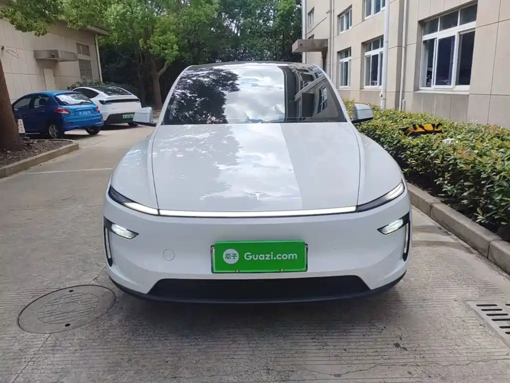 Tesla Model Y — миниатюра 3