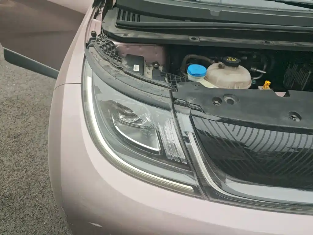 BYD Dolphin — миниатюра 7