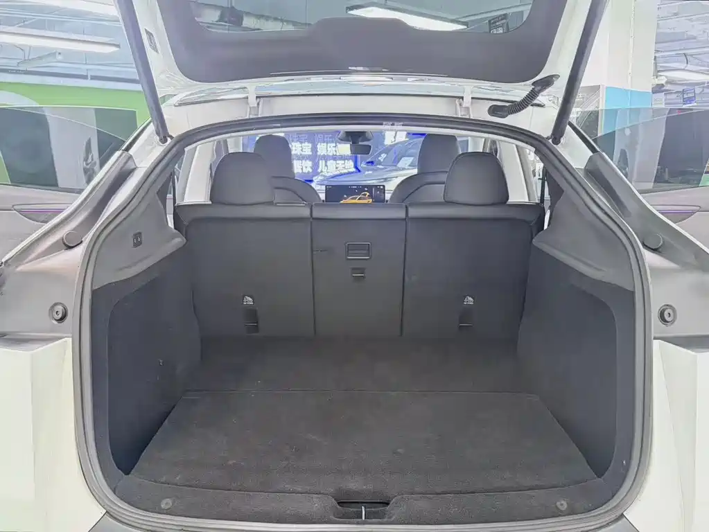 Tesla Model Y — миниатюра 13