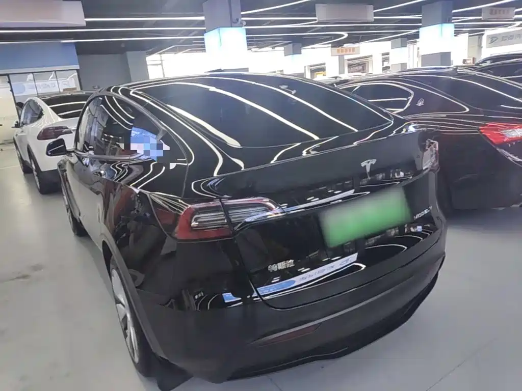 Tesla Model Y — миниатюра 5