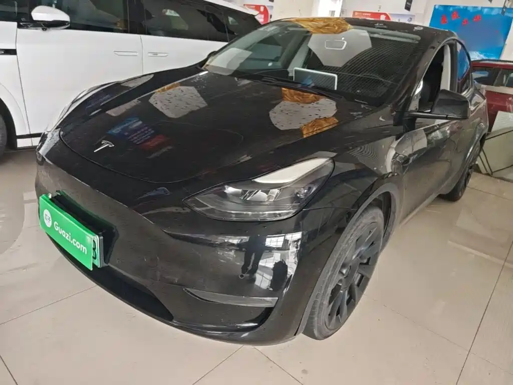 Tesla Model Y — миниатюра 2