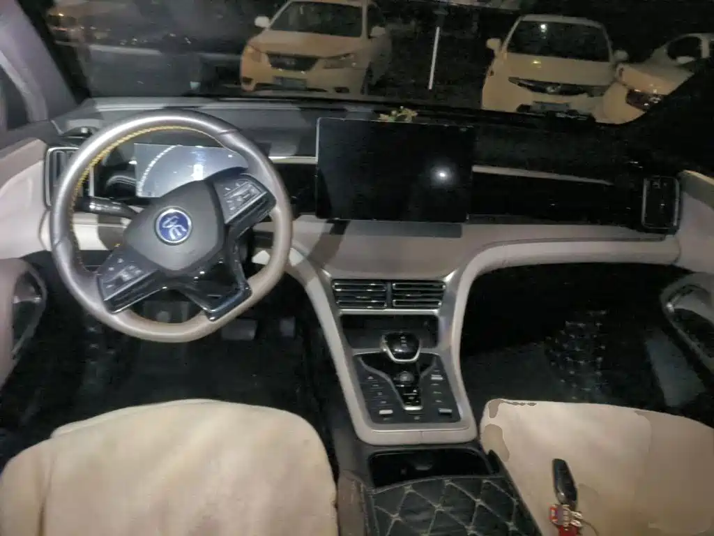 BYD Pro New Energy — миниатюра 10