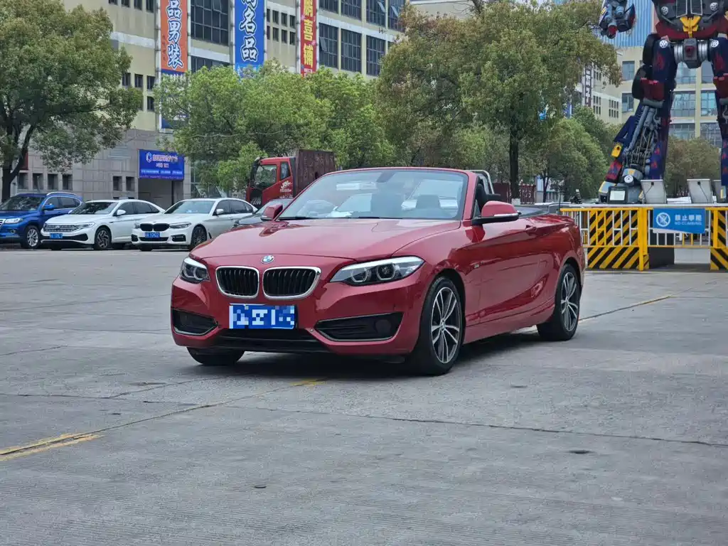 BMW 2 Series (Import) 2018