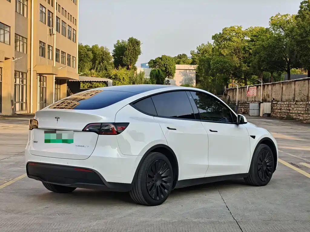 Tesla Model Y — миниатюра 5