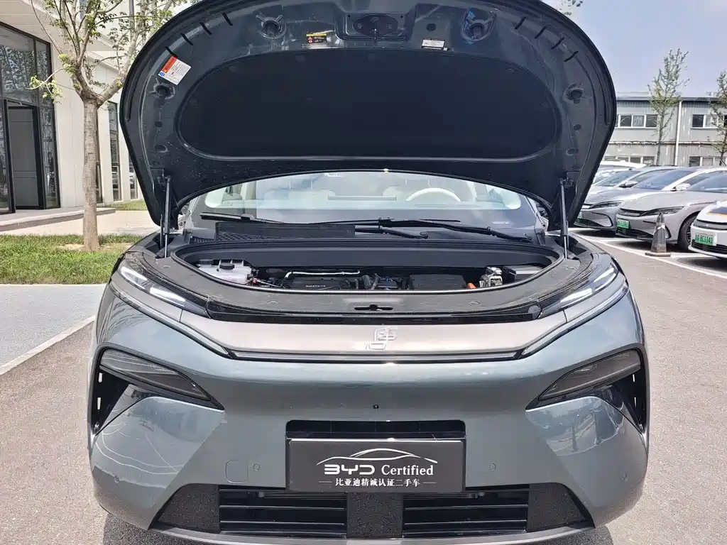 BYD Дон Л. — миниатюра 2