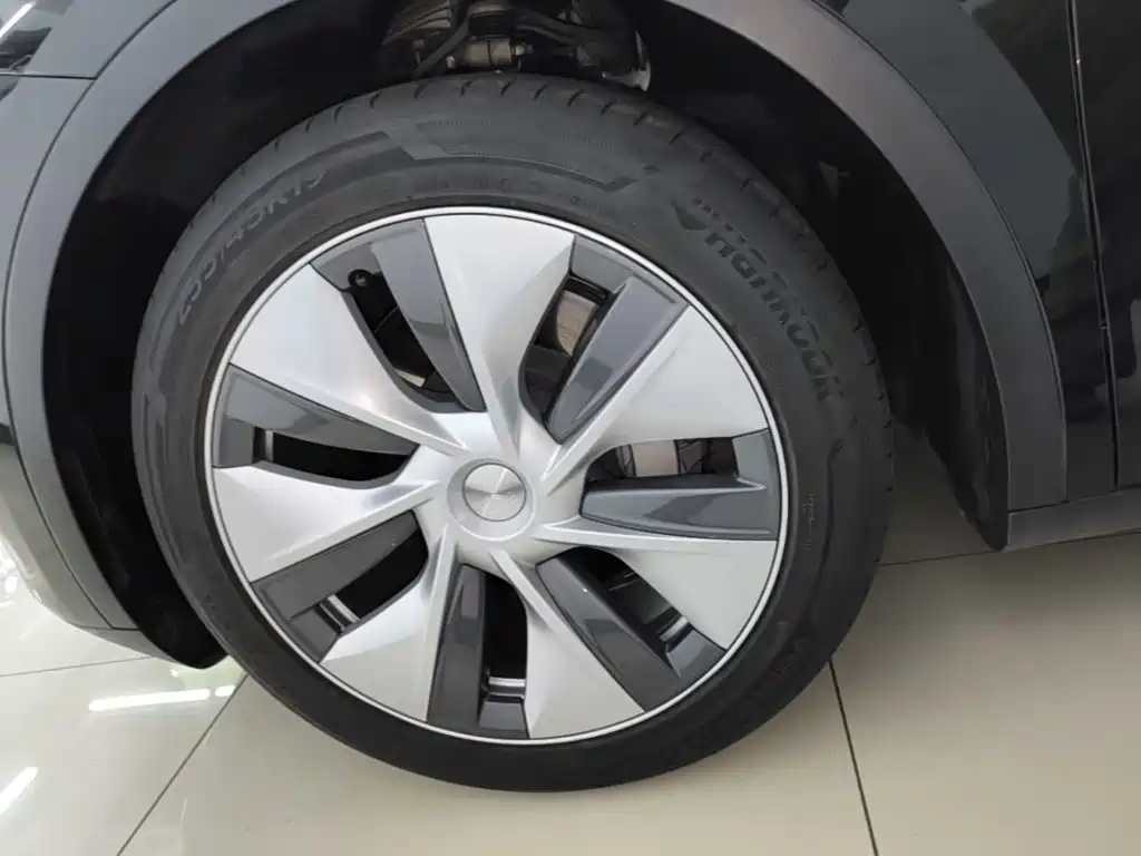 Tesla Model Y — миниатюра 23