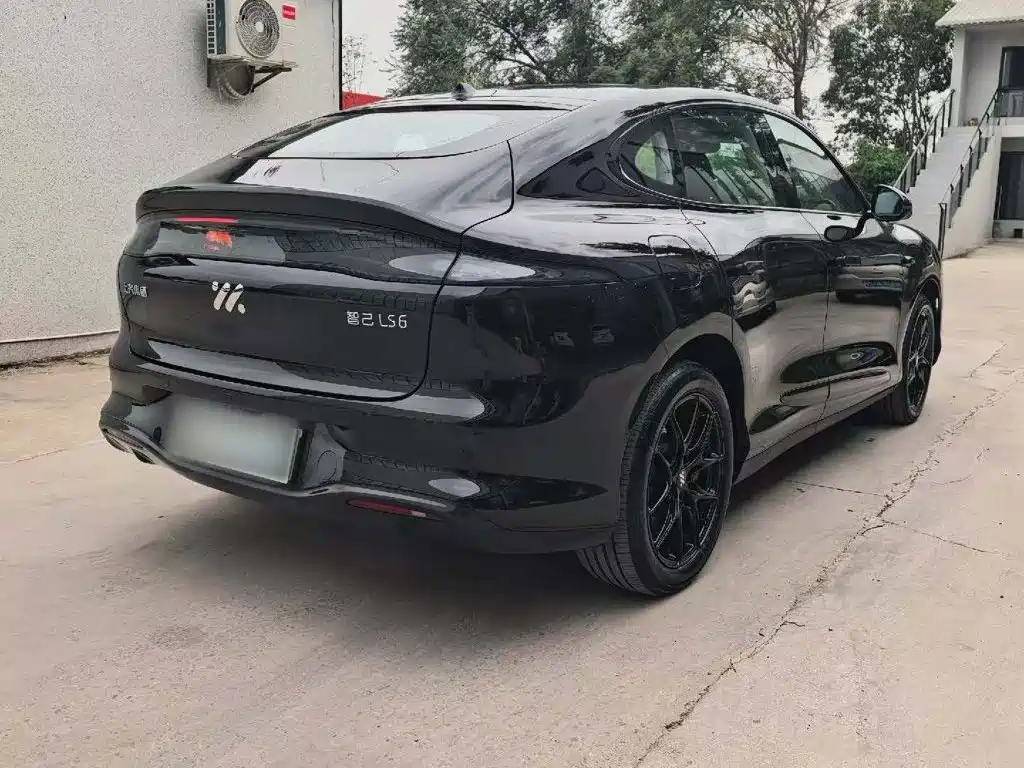 IM IM LS6 — миниатюра 3
