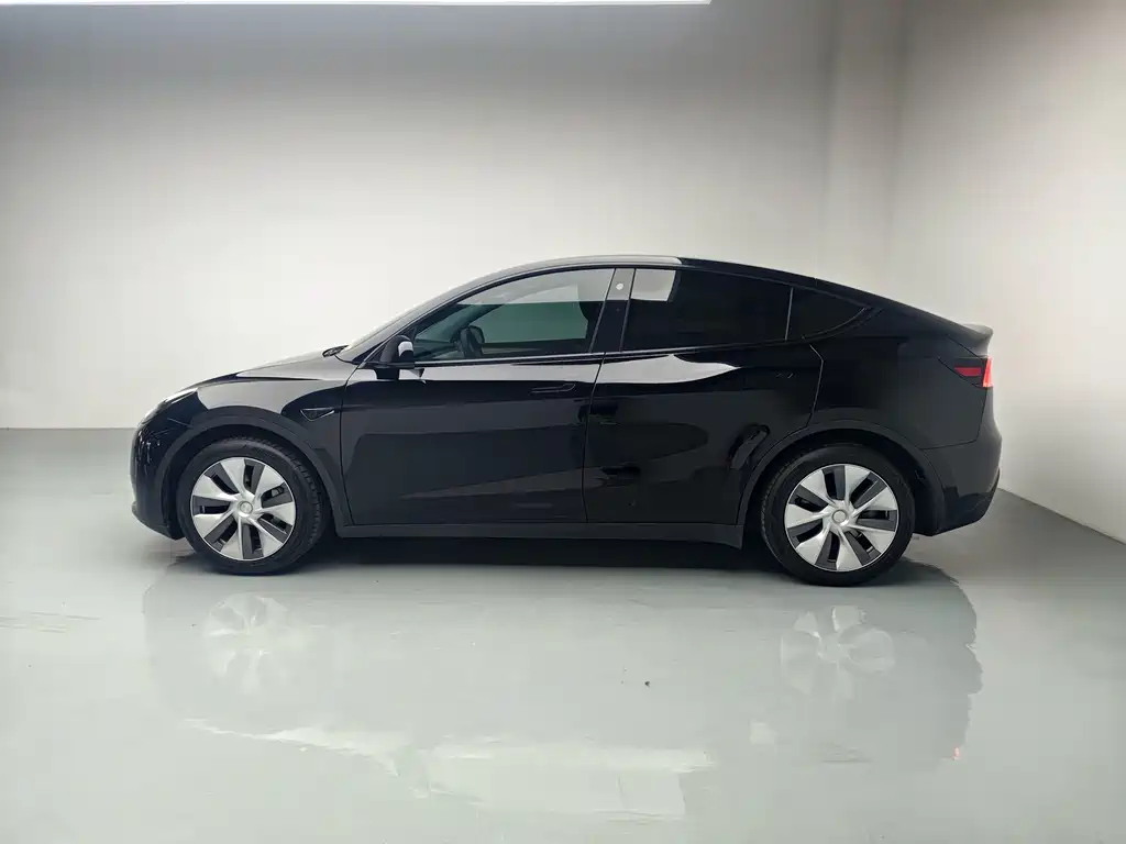 Tesla Model Y — миниатюра 6