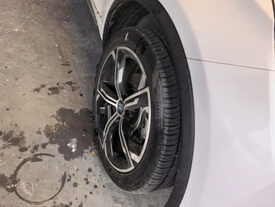 BYD Tang New Energy — миниатюра 6