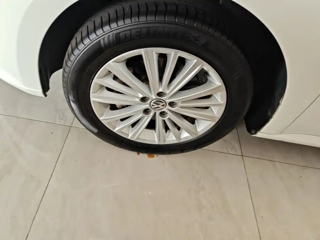 Volkswagen Gran Lavida — миниатюра 23