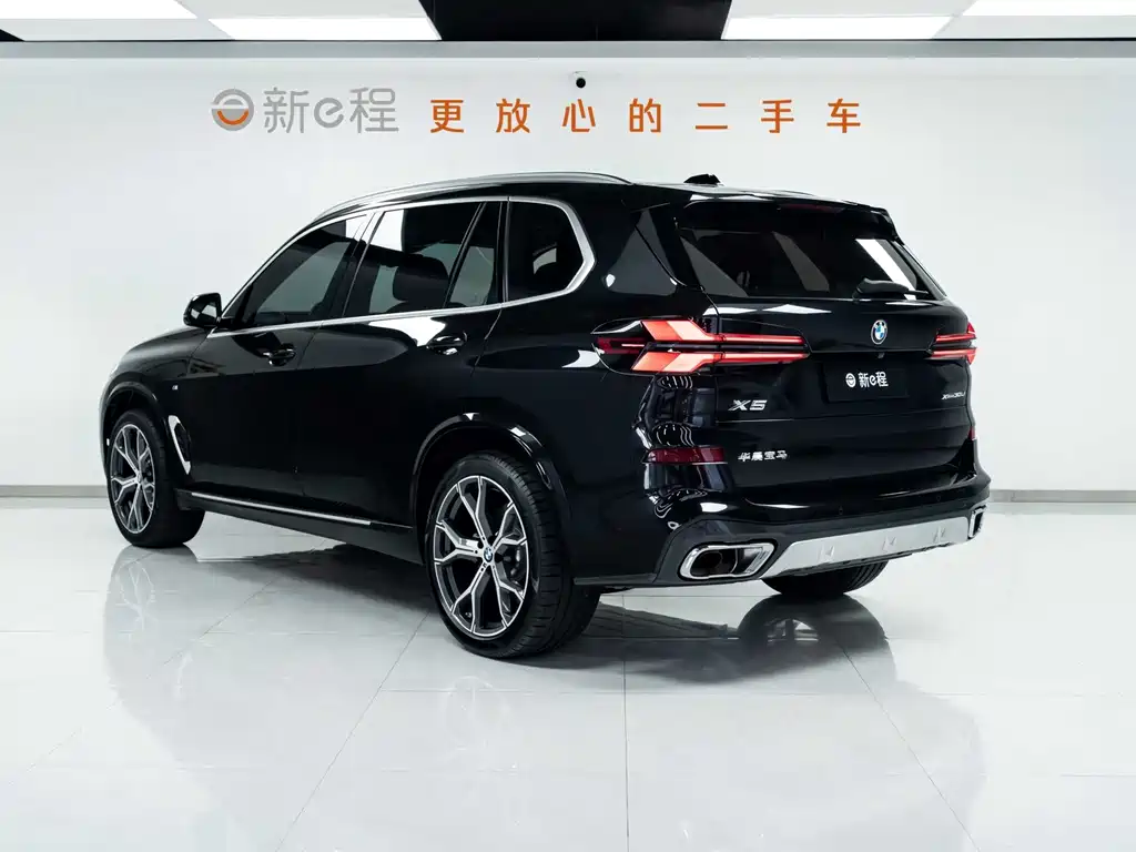 BMW X5 — миниатюра 6