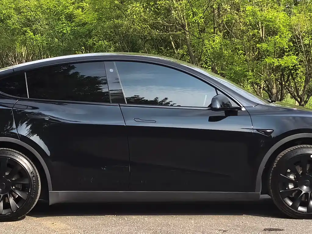 Tesla Model Y — миниатюра 4