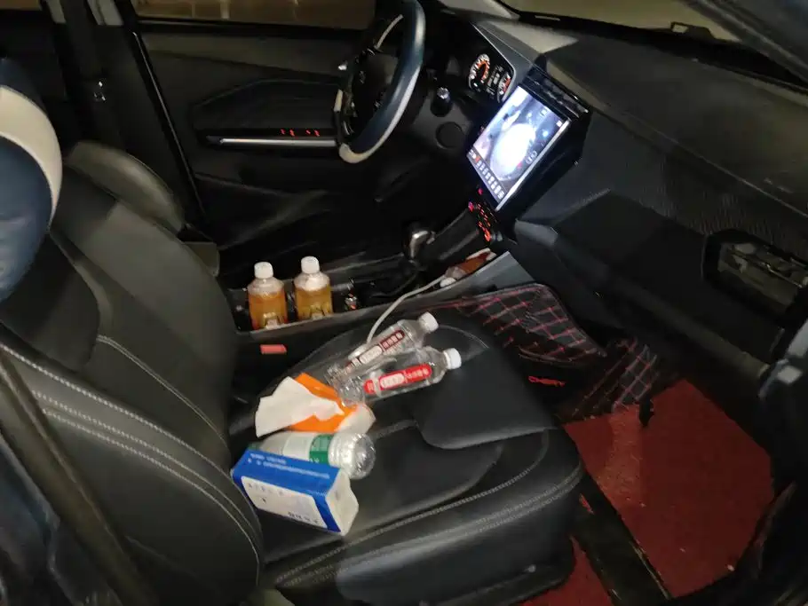 Chery Tiggo 3x — миниатюра 8