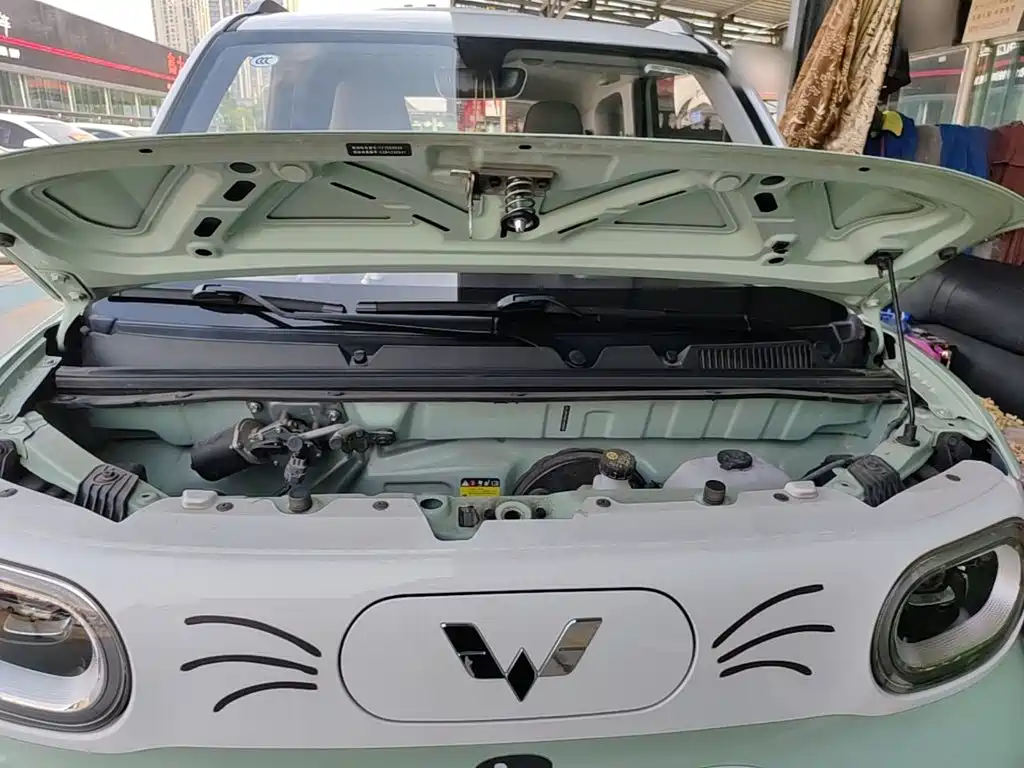 Wuling MINIEV — миниатюра 20
