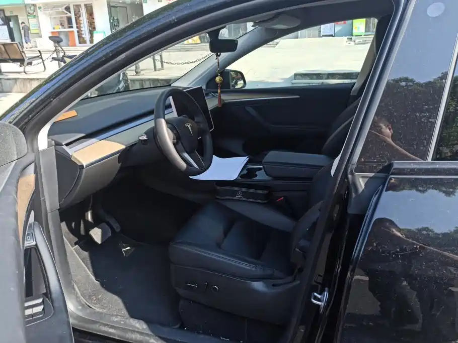 Tesla Model Y — миниатюра 9