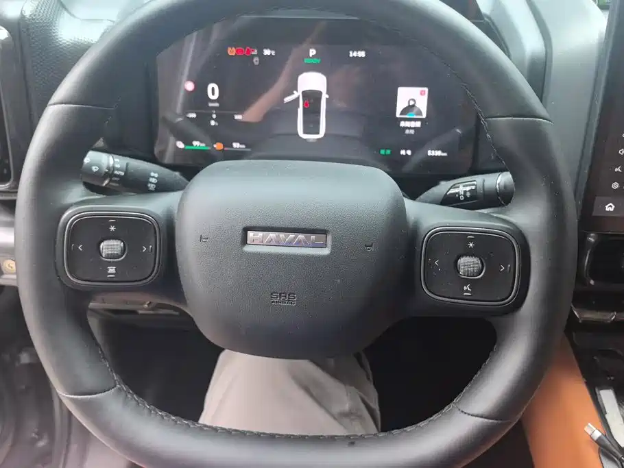 Haval Menglong New Energy — миниатюра 15