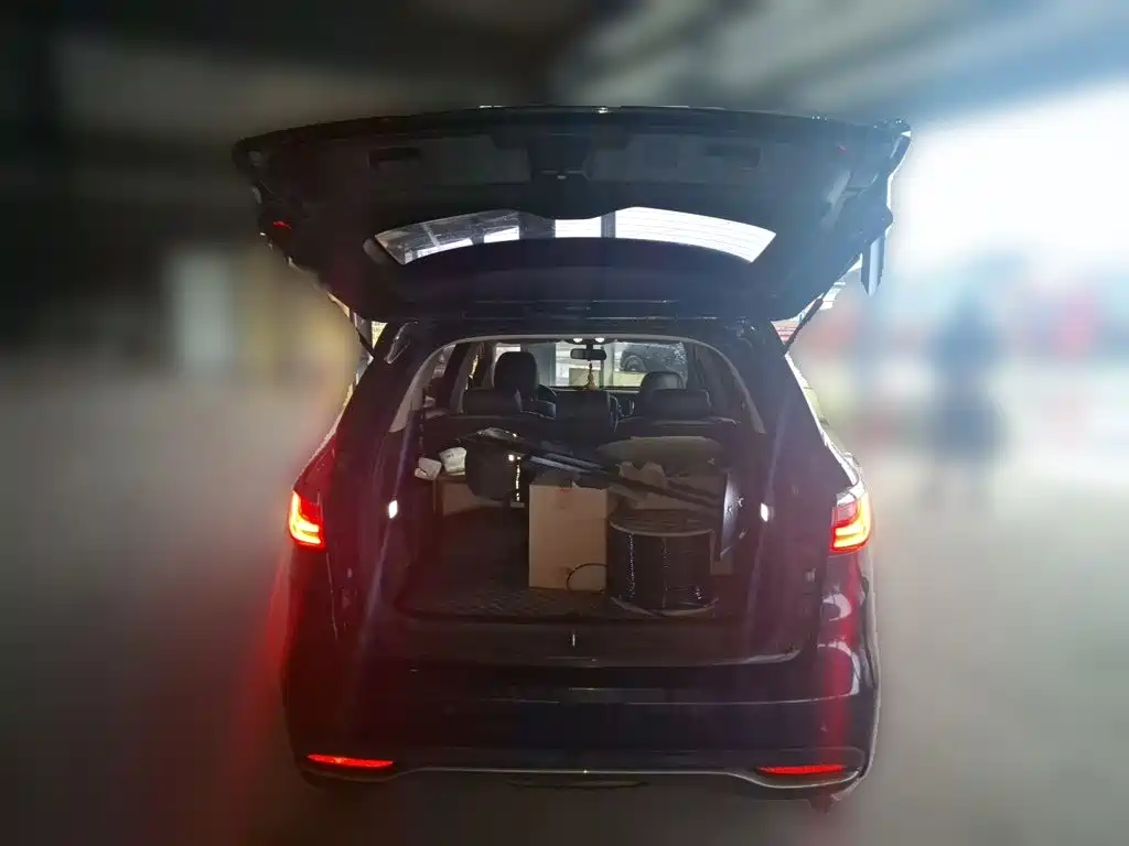 BYD MAX — миниатюра 10
