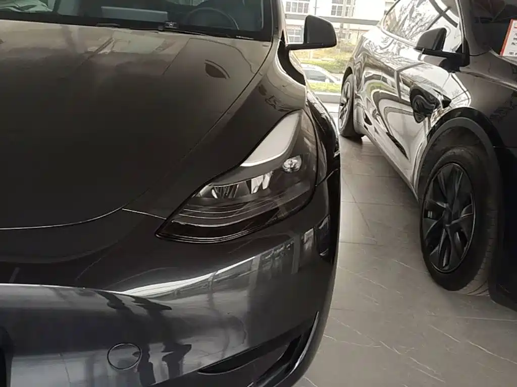 Tesla Model Y — миниатюра 24