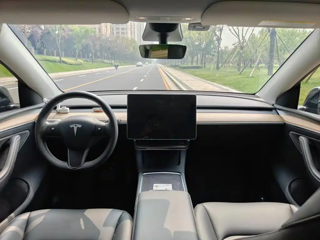 Tesla Model Y — миниатюра 10