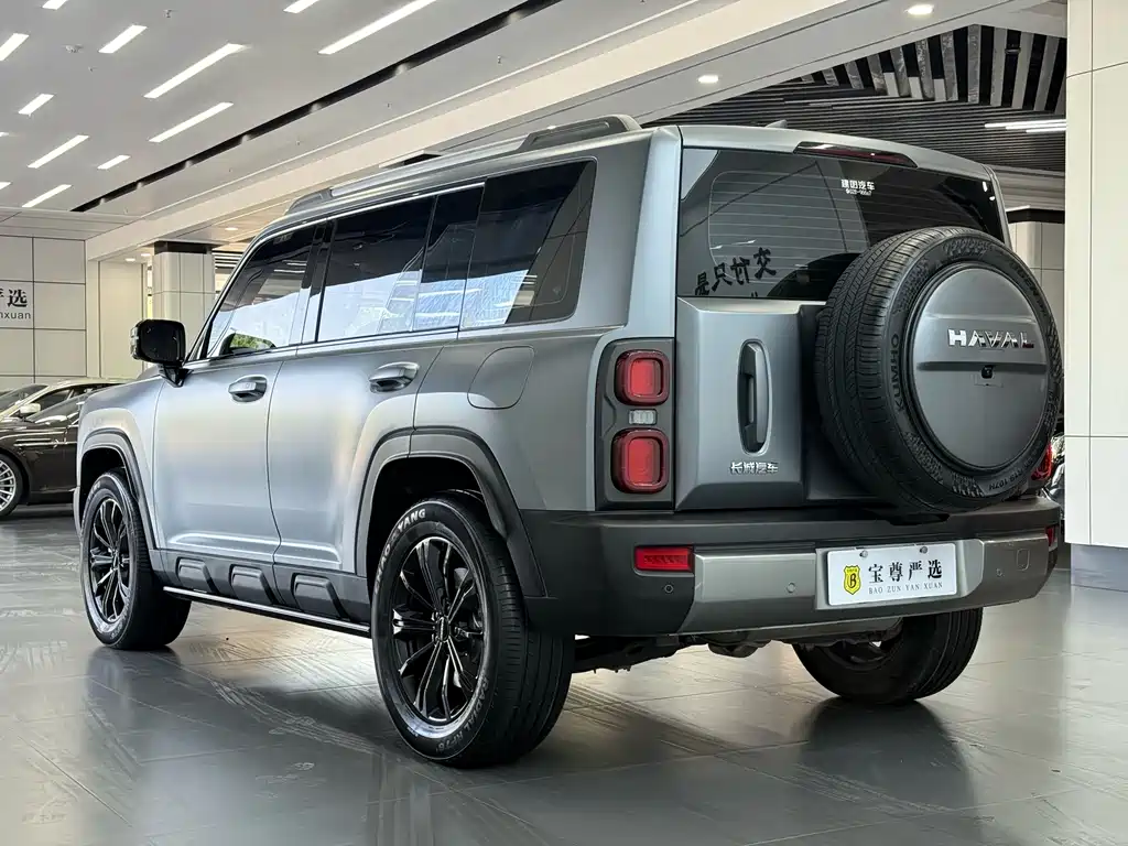 Haval Menglong New Energy Hi4 145 Cross Edition, фото 6