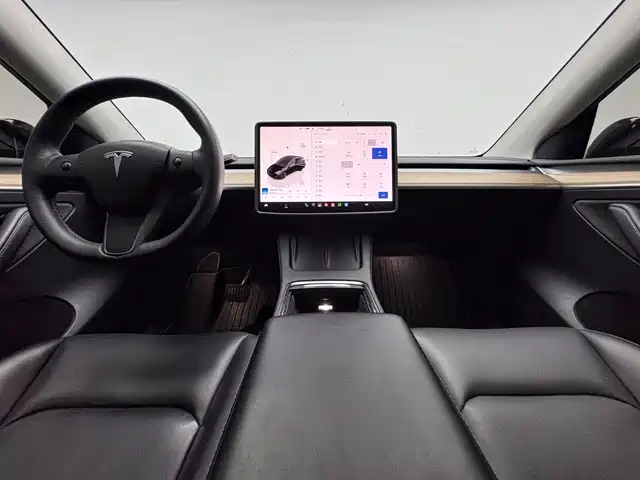 Tesla Model Y — миниатюра 15