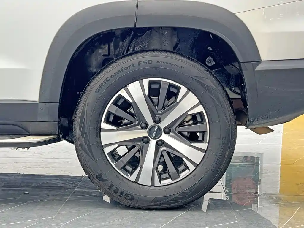 Haval Big Dog — миниатюра 24