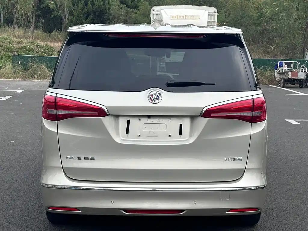 Buick GL8 — миниатюра 8