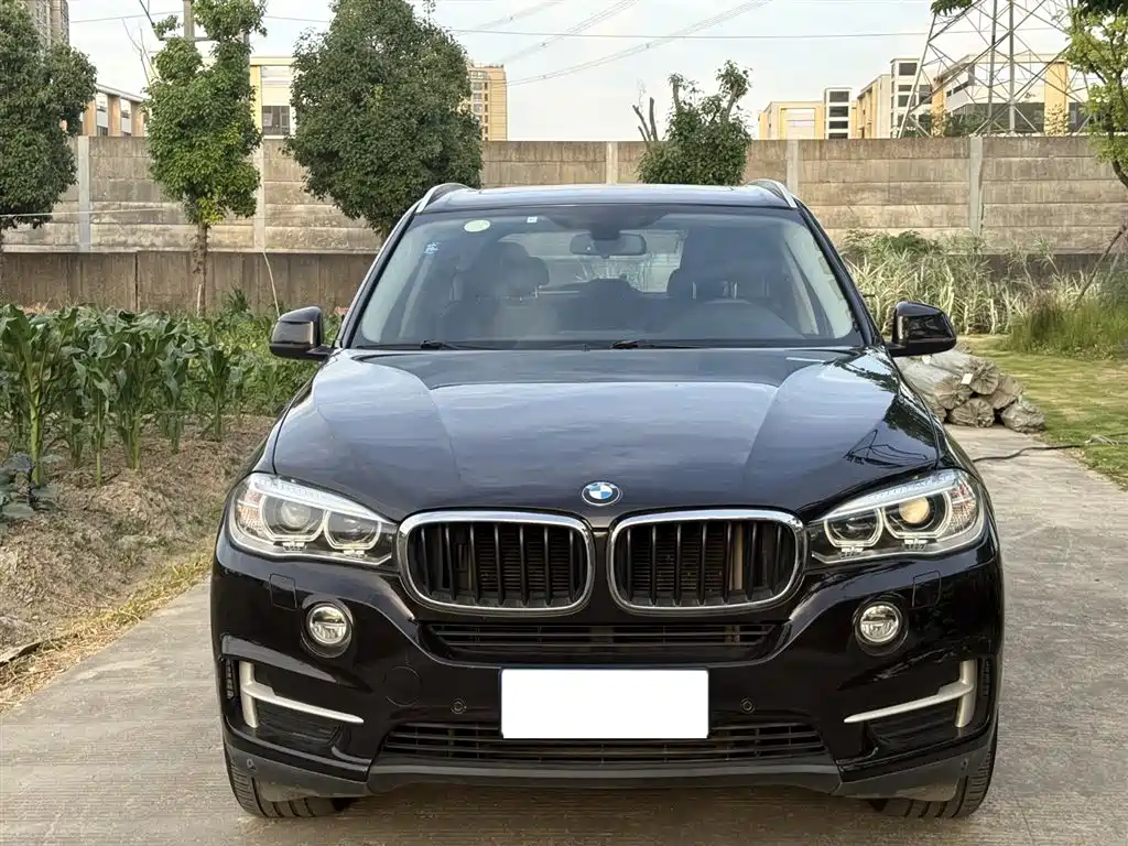 BMW X5 2014 xDrive35i Elegant