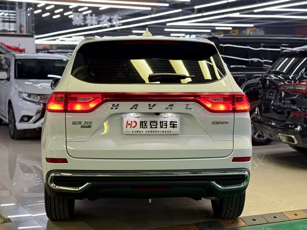 HAVAL M6