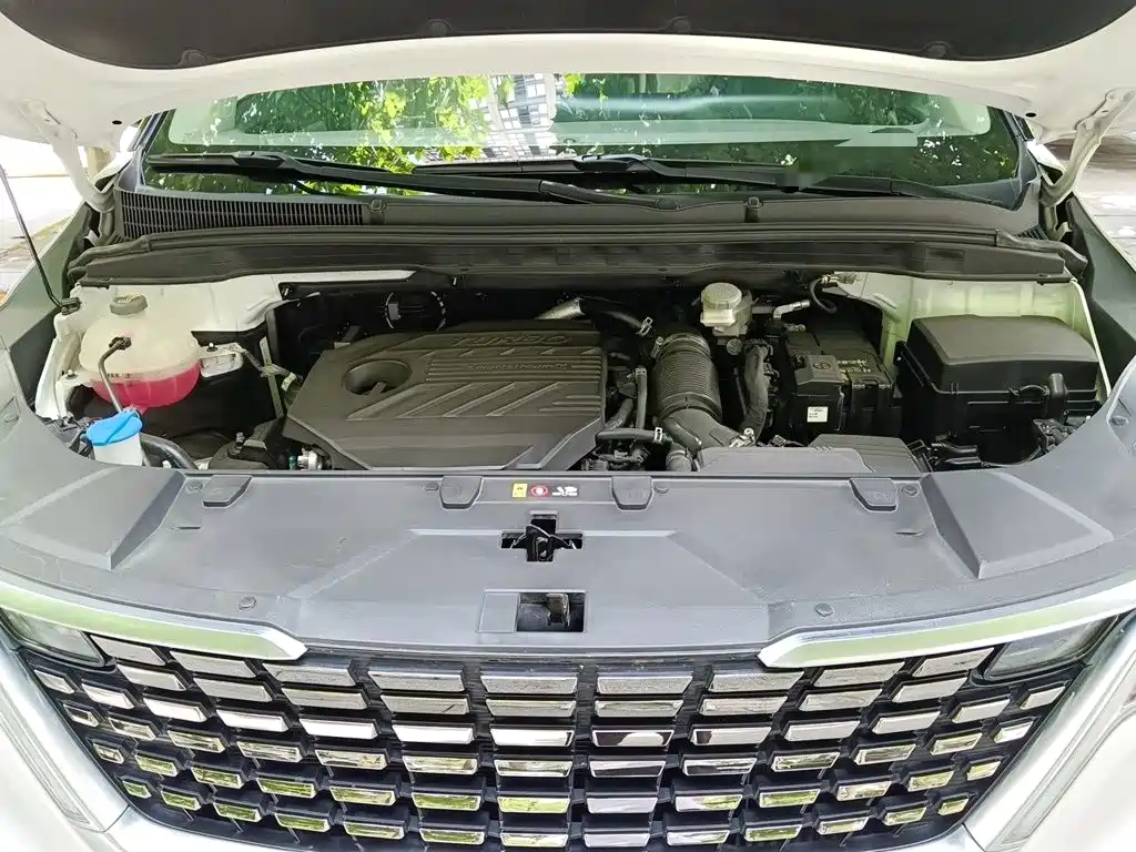 Kia Carnival — миниатюра 11