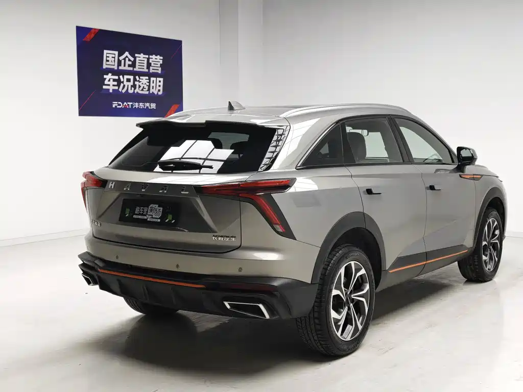 Haval Shenshou — миниатюра 4