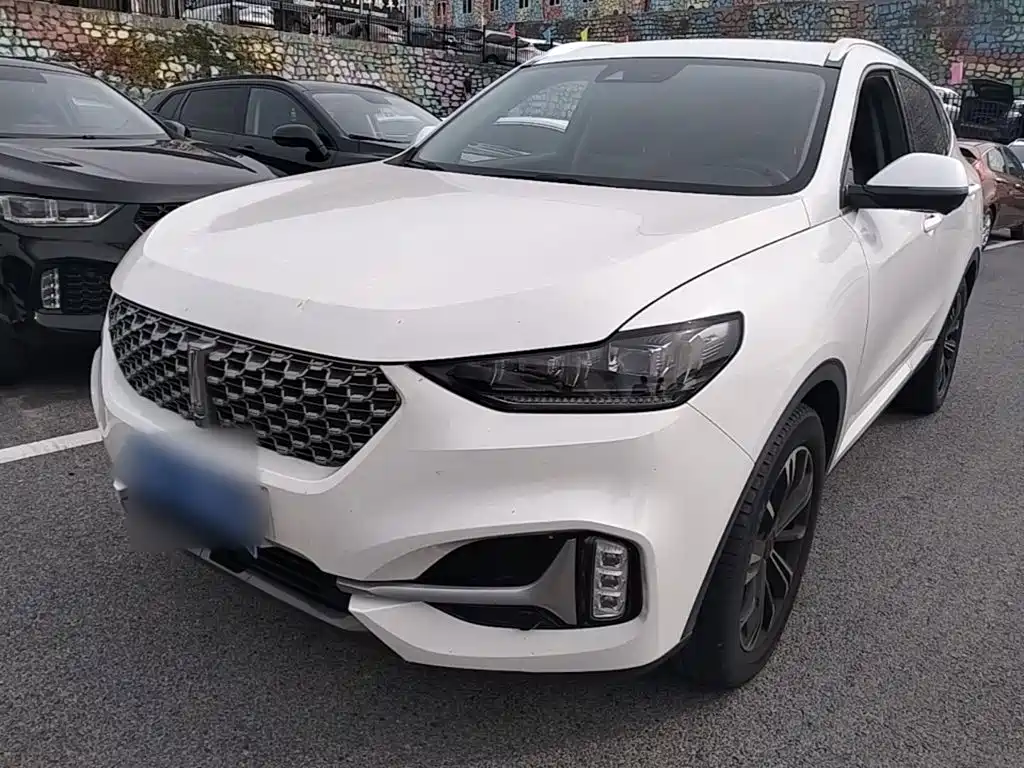 Wey Wey VV6
