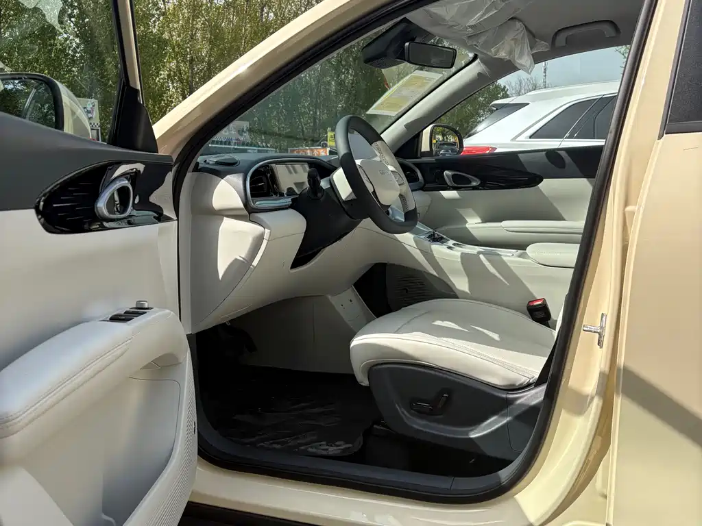 Geely Geome Xingyuan 2026 310km