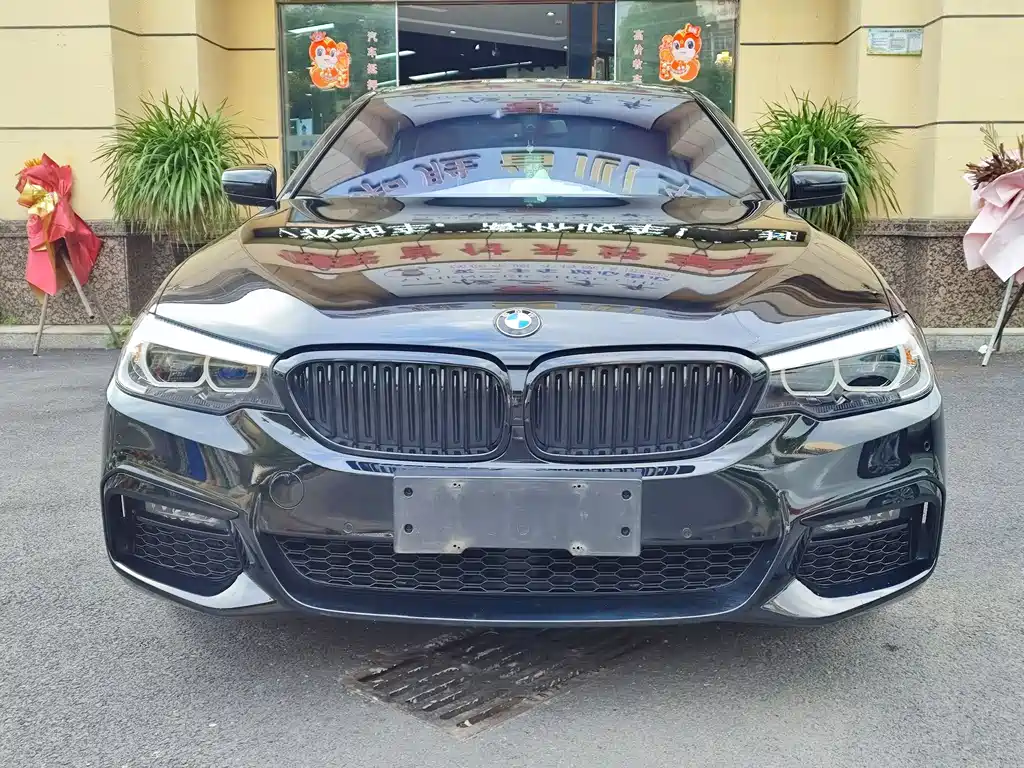 BMW 5 SERIES