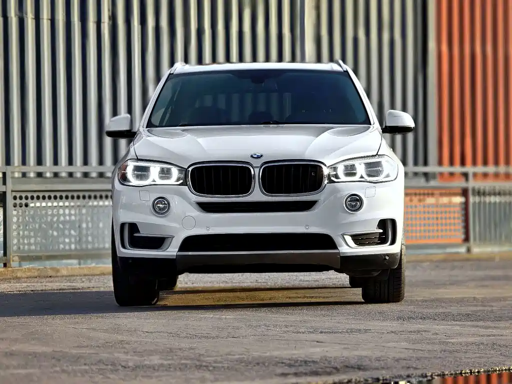 BMW X5 (Import) — миниатюра 2
