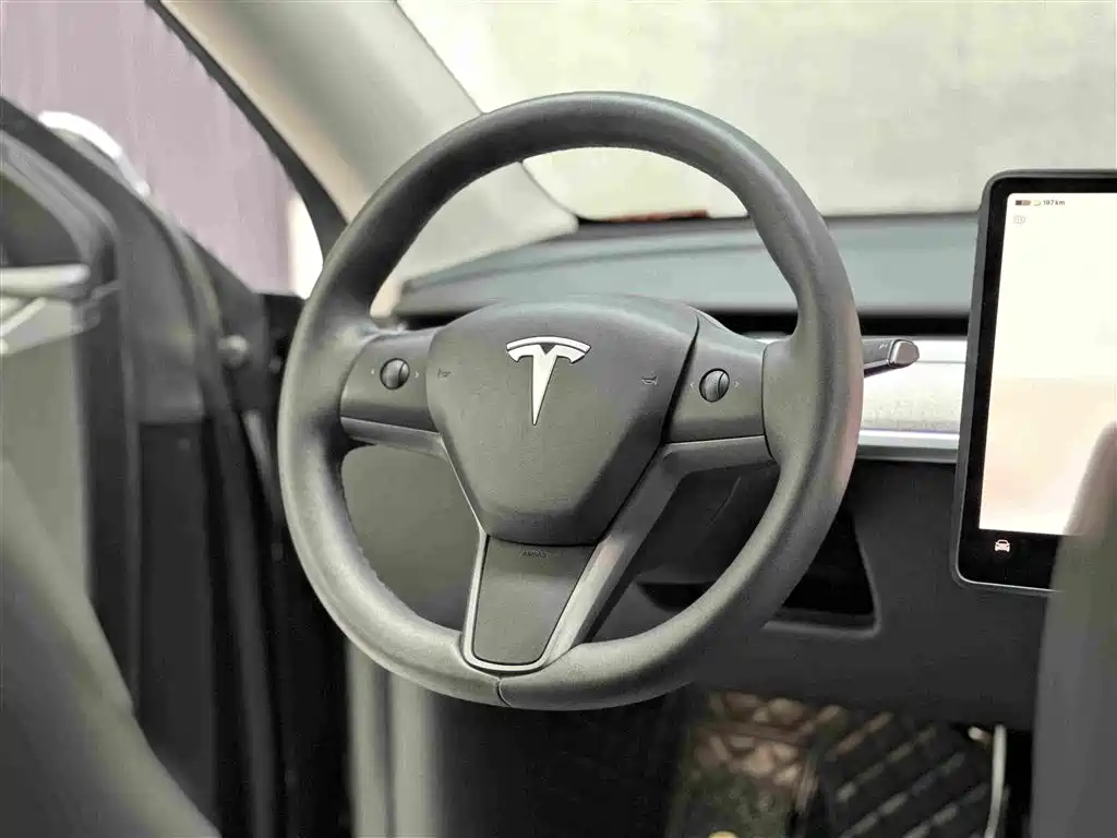 Tesla Model Y — миниатюра 11