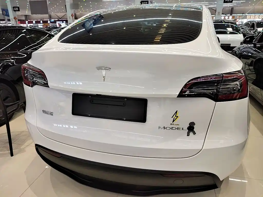 Tesla Model Y — миниатюра 6