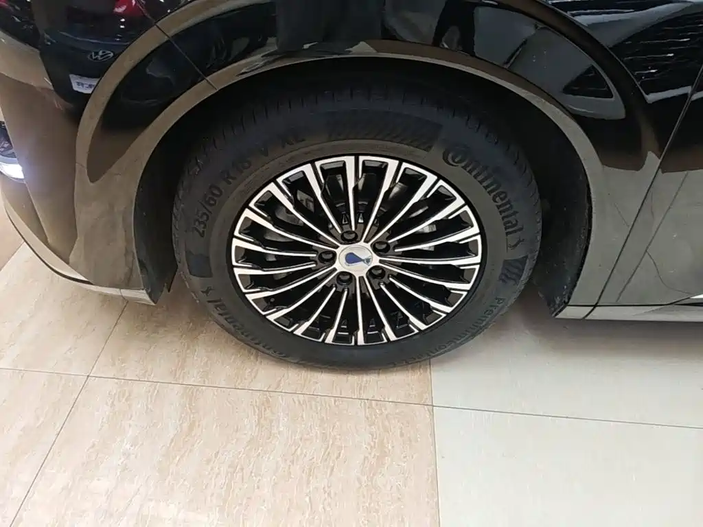 Denza Denza D9 — миниатюра 23