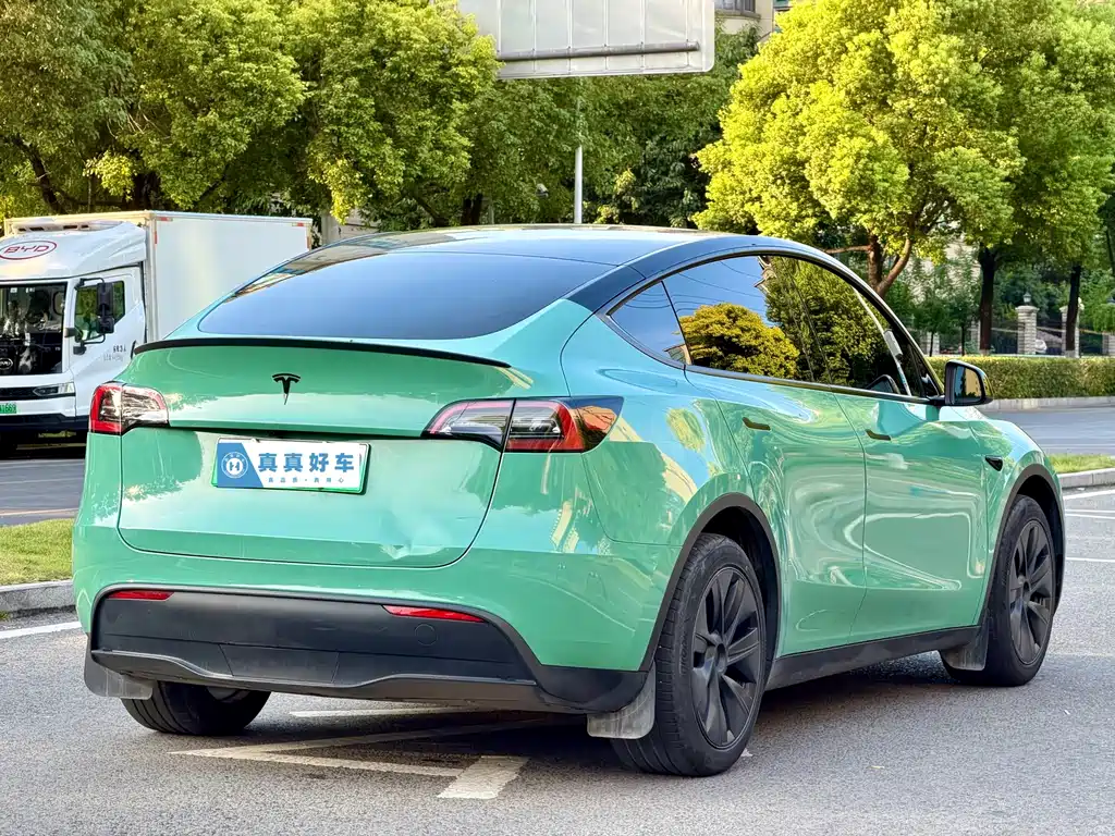 Tesla Model Y — миниатюра 4