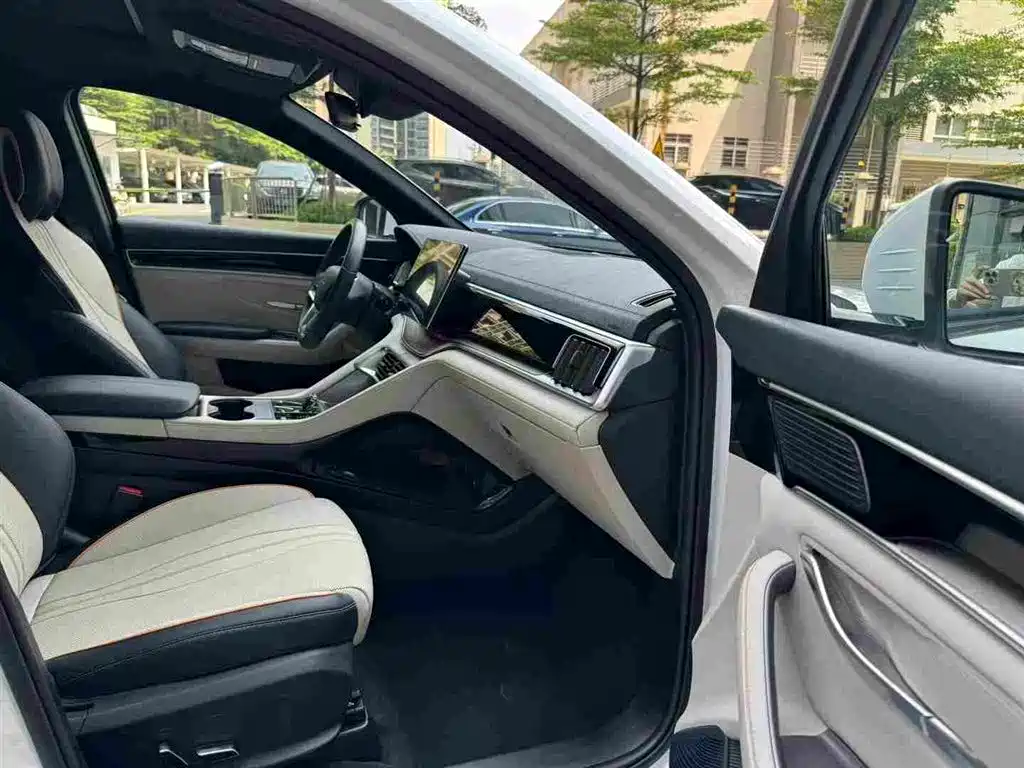 BYD PLUS New Energy — миниатюра 8