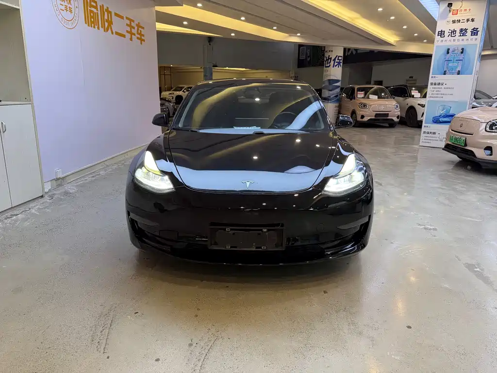Tesla Model 3 — миниатюра 2