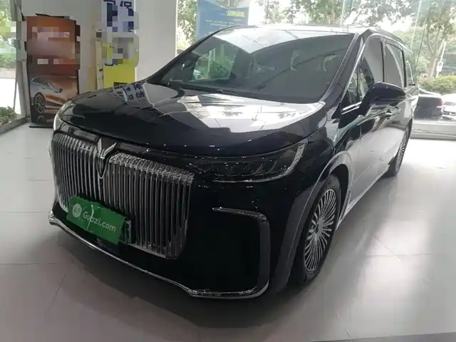 2025 Voyah Dream