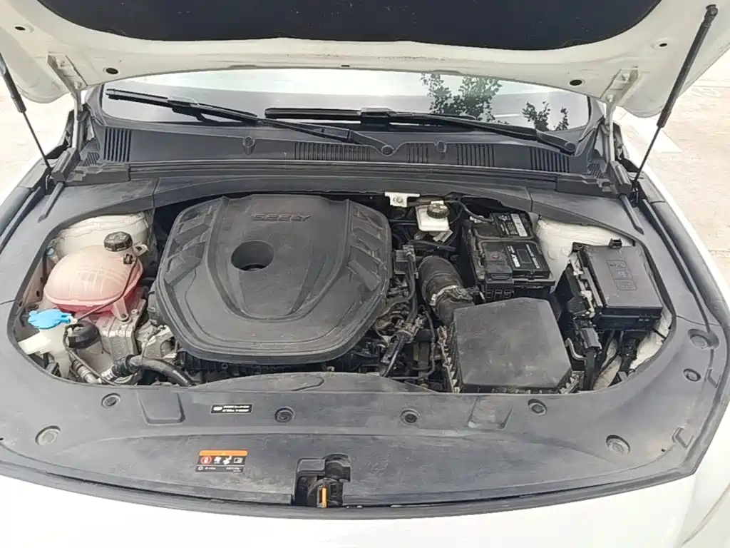 Geely Xingrui — миниатюра 20