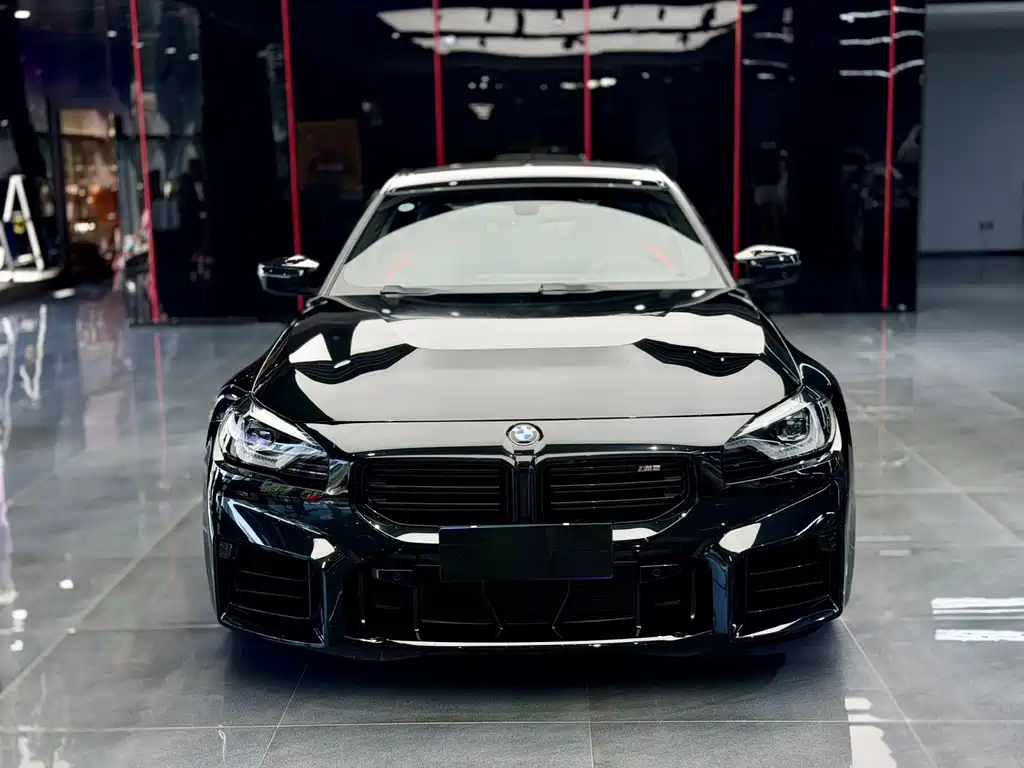 BMW M2 — миниатюра 2