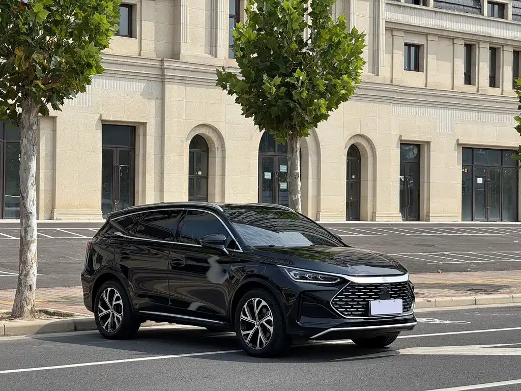 BYD Tang New Energy — миниатюра 3