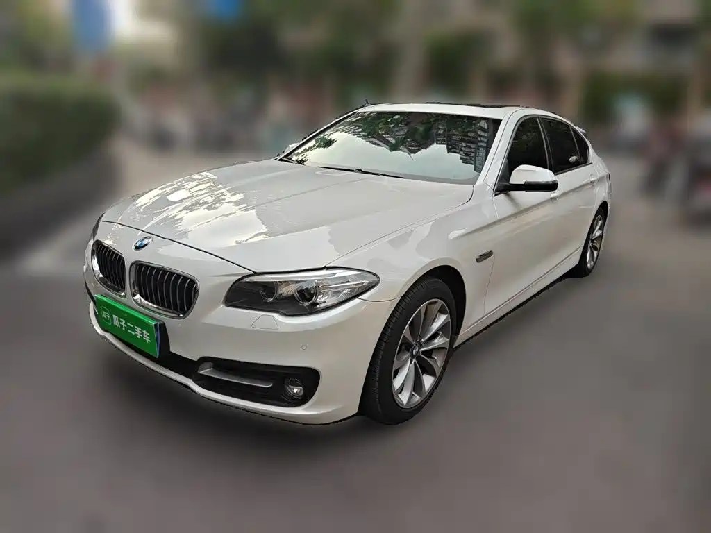 BMW 5 Series 5 2014 528Li Lead